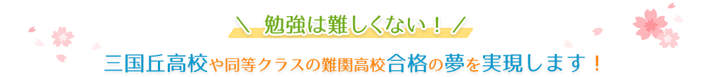 錦綾小学校、浅香山中学校から三国丘高校受験を目指す生徒を主に対象とした【学習塾サン・ゼミナール】の勉強は難しくありません。三国丘高校や同等クラスの難関高校合格の夢を実現します！